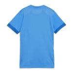 Tricou Puma teamGOAL Matchday Women