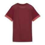 Tricou Puma teamGOAL Matchday Women