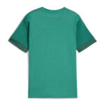 705748 Tricou Puma teamGOAL Matchday Copii