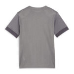 705748 Tricou Puma teamGOAL Matchday Copii
