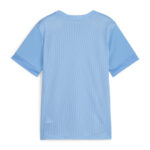 705748 Tricou Puma teamGOAL Matchday Copii