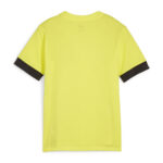 705748 Tricou Puma teamGOAL Matchday Copii