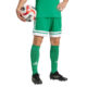 Sort Adidas Squadra barbati, confectionat din 100% poliester, verde