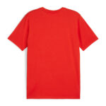 Tricou Puma teamGOAL Casuals
