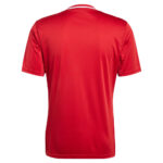 Tricou ADIDAS Campeon 25