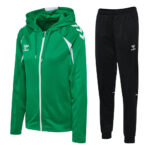 Trening hummel CORE 2.0 HOODIE ZIP WOMEN