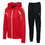 Trening hummel CORE 2.0 HOODIE ZIP WOMEN