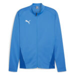 Bluza Puma teamGOAL Training