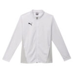 Bluza Puma teamGOAL Training