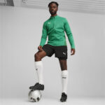 Bluza Puma teamGOAL Training