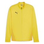 Bluza Puma teamGOAL Training