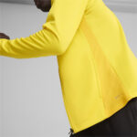 Bluza Puma teamGOAL Training