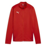 Bluza Puma teamGOAL Training Women