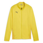 Bluza Puma teamGOAL Training Women