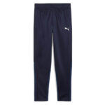 Pantaloni Puma teamGOAL Training