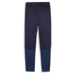 Pantaloni Puma teamGOAL Training