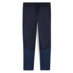 Pantaloni Puma teamGOAL Training Women
