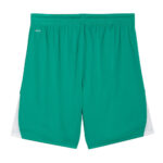 Sort Puma teamLIGA26