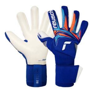 Manusi Portar Fotbal Reusch Attrakt Gold X NC Gravity