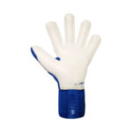 Manusi Portar Fotbal Reusch Attrakt Gold X NC Gravity